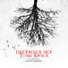 Tomi Swick featuring Julian Lennon - December Sky